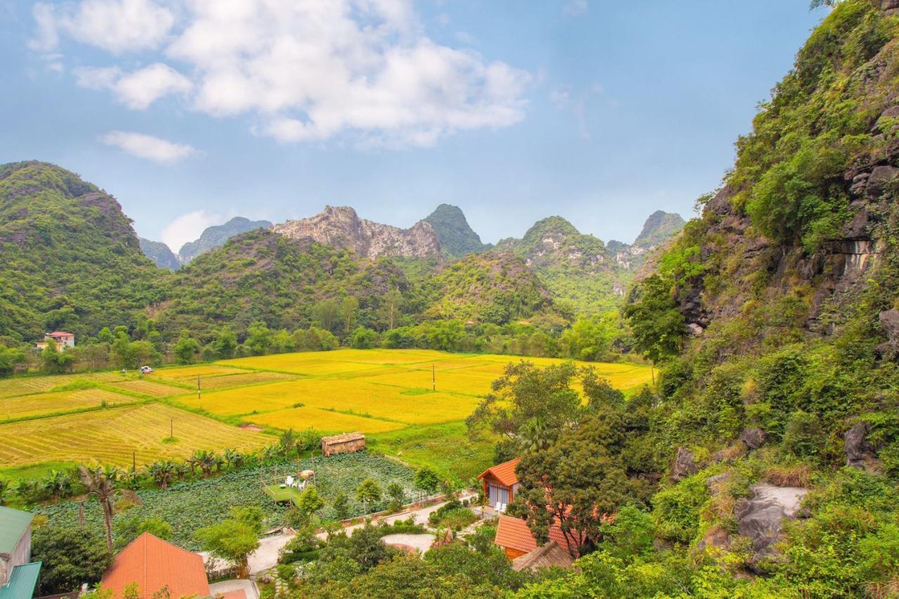 Green Mountain Homestay Ninh Binh Dış mekan fotoğraf