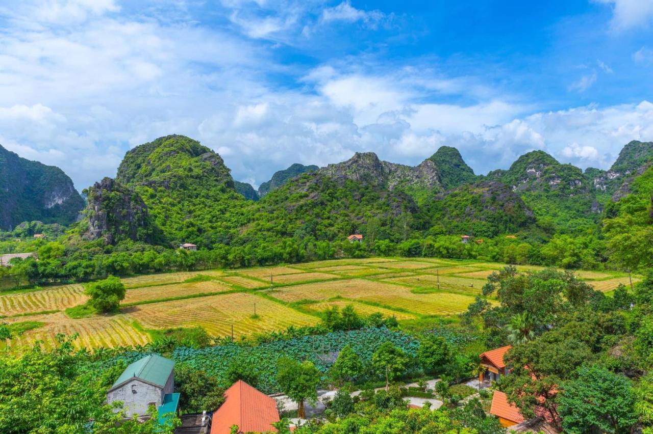 Green Mountain Homestay Ninh Binh Dış mekan fotoğraf