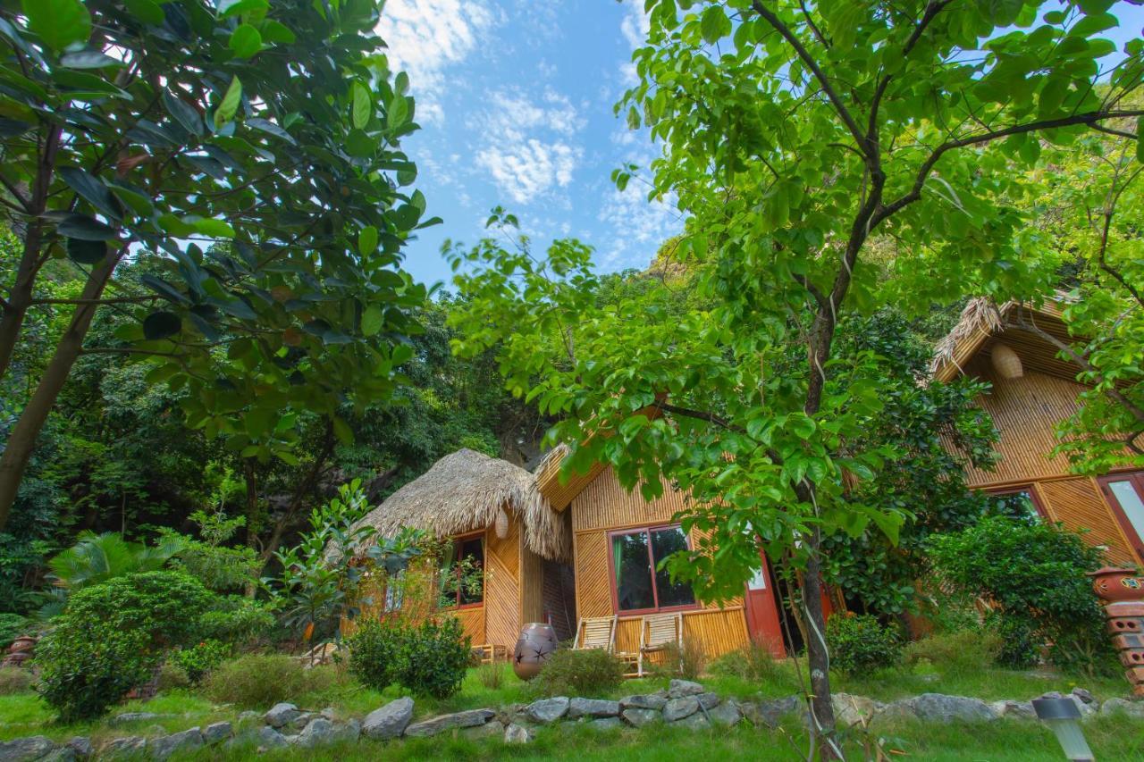 Green Mountain Homestay Ninh Binh Dış mekan fotoğraf